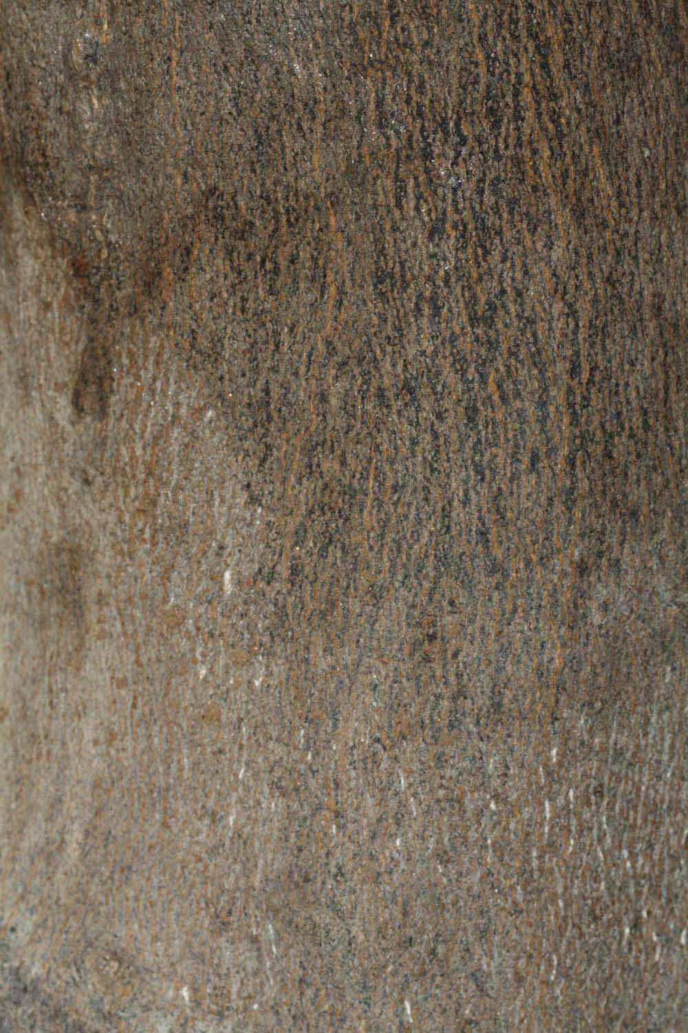            Bark (Riverside, CA)   